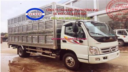Xe tải thaco ollin 700C chở Lợn